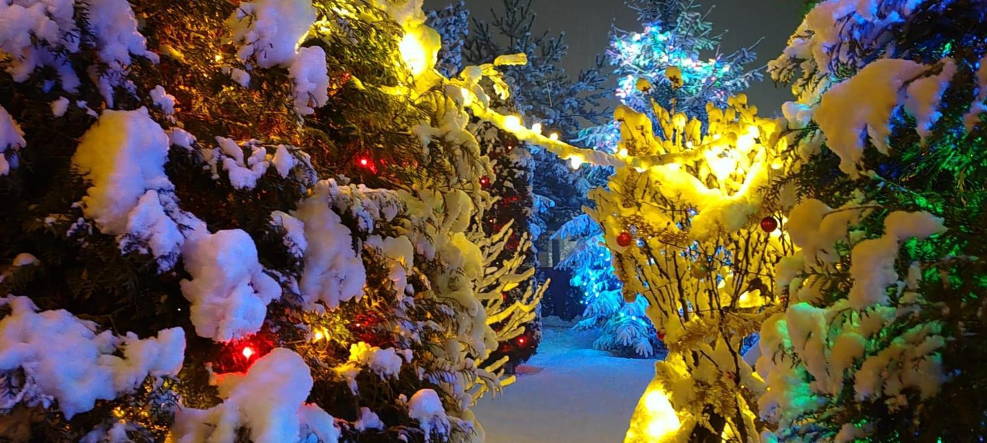 Вілла Eden Garden Совата Екстер'єр фото