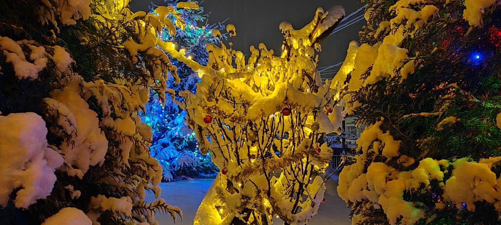 Вілла Eden Garden Совата Екстер'єр фото